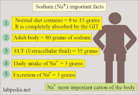 sodium na blood and serum