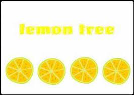 lemon tree fools garden you
