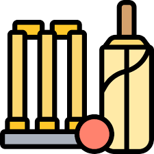 Cricket Meticulous Lineal Color Icon