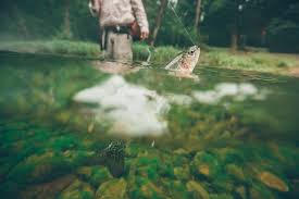 guide to fly fishing the nc high country