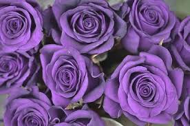 Our florists will help you determine what flowers and colors go well together and. 11 Rose Color Meanings To Help You Pick The Perfect Bouquet