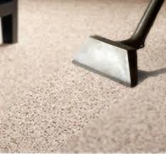 carpet cleaning guild and care