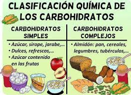 tipos de carbohidratos botanical