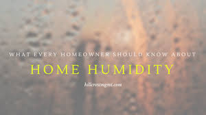 What Every Homeowner Should Know About In Home Humidity