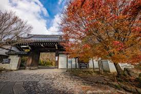 ryoanji temple info tips review