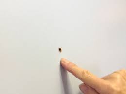 nail holes in your drywall