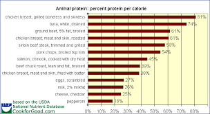 How Much Protein Is Enough What Are The Best Sources