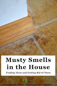 Musty Smell In House