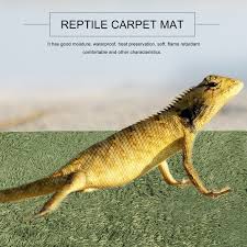 reptile carpet mat terrarium habitat