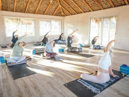 yogic lifestyle yoga teacher training