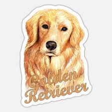 golden retriever dog gift idea sticker