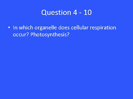 In what organelle does cellular respiration occur? Cellular Respiration And Fermentation Cell Respiration A Cell
