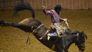 sle rodeo back in montgomery bigger