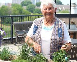gardening boosts wellbeing for older