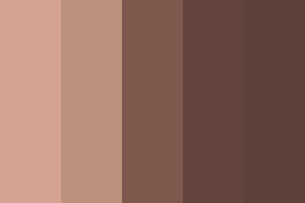 Skin And Shadow Color Palette