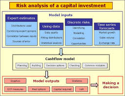 Discounted Cash Flow Modeling Vose Software