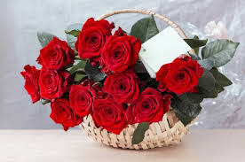 romantic red roses bouquet stock photos