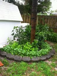 South Florida Food Forest Project