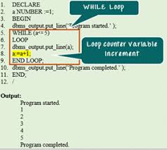 while loop in oracle pl sql with exle