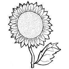 Kupulan gambar sketsa bunga yang mudah akan kamu temukan di sini. Contoh Gambar Belajar Mewarnai Gambar Bunga Matahari Kataucap