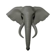 elephant head trophy wall mount 3d