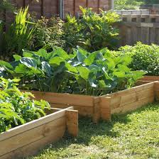 The Chamberlain Wooden Raised Grow Bed