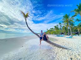 island saona private tour from 285