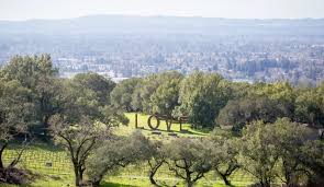Maybe you would like to learn more about one of these? The 4 Best Things To Do In Santa Rosa According To Abc News Sonoma Magazine