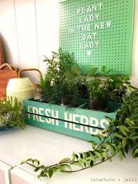 Indoor herb garden using recycled milk bottles. Inexpensive And Easy Kitchen Herb Garden Diy Project