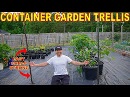 The Best Container Garden Trellis Ever