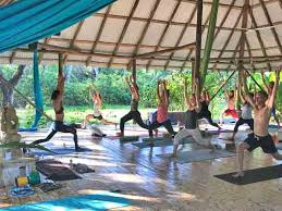 yoga teacher training retreats