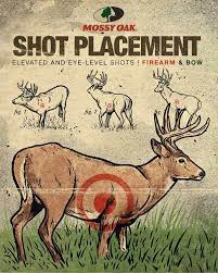 where to shoot a deer mossy oak