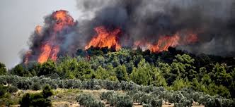Jun 05, 2021 · φωτιά ξέσπασε το απόγευμα του σαββάτου στις γραμμές του προαστιακού στην κόρινθο. Korin8os Synelhf8h Antras Gia Th Fwtia Sto Kalentzi Cretapost Gr