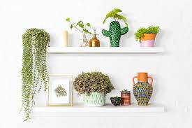 plant wall shelf indoor home decor