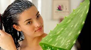 best ayurvedic treatment for hair fall