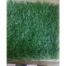 artificial gr mat at rs 55 square