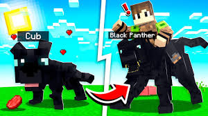 taming a black panther in minecraft