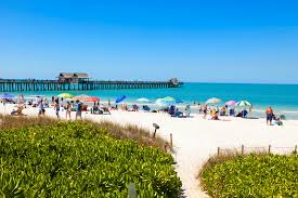 10 best things to do in naples florida