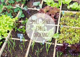 Fruit Vegetables In Small Spaces