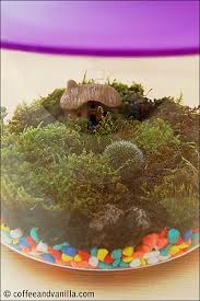 Diy Miniature Moss Garden In A Fish
