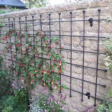 Garden Wall Trellis Panels Harrod