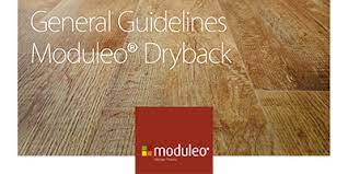 general guidelines moduleo dryback