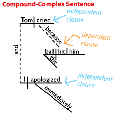 Some kinds of complex constituents appear more often than others. The Compound Complex Sentence