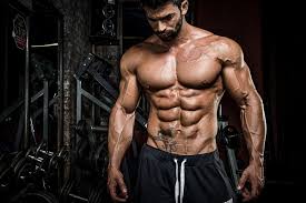 body fat percene men need to see abs