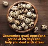 can-you-eat-quail-eggs-raw