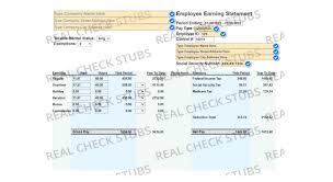 free editable pay stub fill in blanks