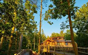 We are delighted to have finished work on three fantastic tree houses for center parcs. Can Adults Really Enjoy A Staycation What A Week At Center Parcs Taught Me About Holidaying In The Uk