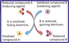 Orp Oxidation Reduction Potential