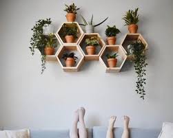 Deep Hexagon Shelves Honeycomb