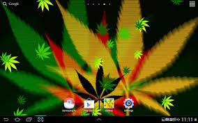 free wallpapers weed paradise